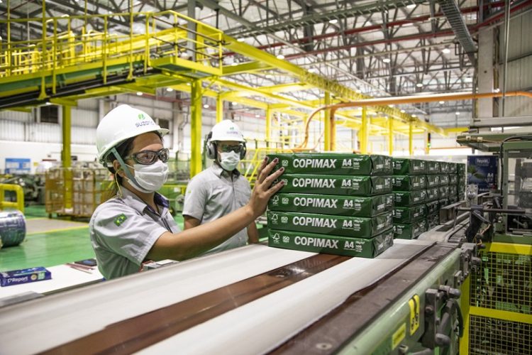 suzano papel e celulose