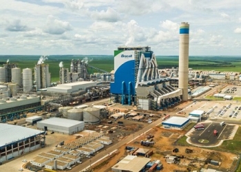 Bracell tem mais de 1.000 oportunidades de emprego