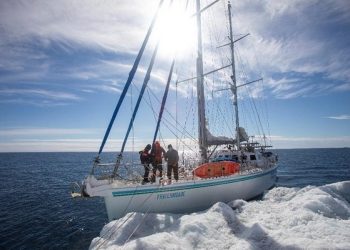 Aleixo Belov e equipe chegam a Salvador no próximo dia 12