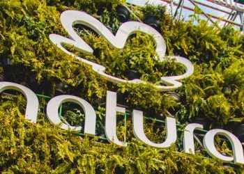 Natura apoia criação de startups ligadas ao mercado de bem-estar
