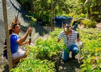 Índios apoiados pela Bamin