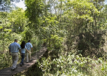 Kimberly-Clark criou Centro de Referência Socioambiental Mata Atlântica