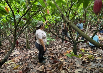 Curso da Lacta