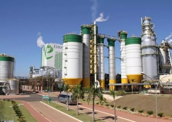 Eldorado Celulose é controlada pelo Paper Excellence