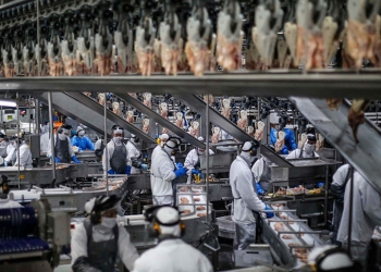 Indústria de alimentos