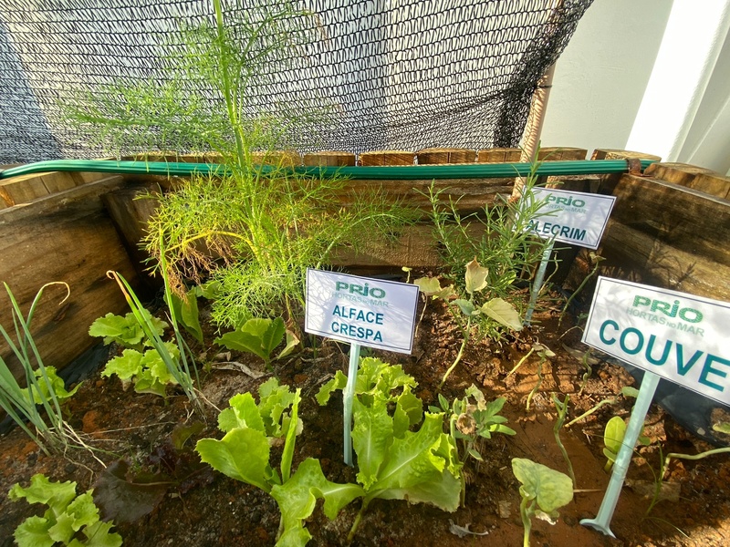 Horta no mar da Prio