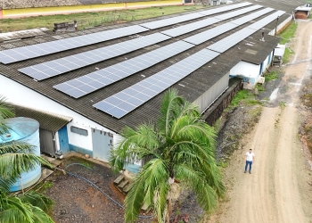 Sustentabilidade: 70% das granjas da Seara já utilizam energia solar