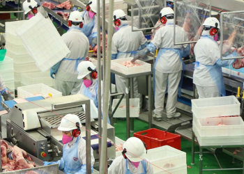 indústria alimentos