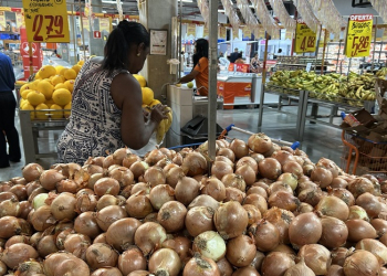 ALIMENTOS