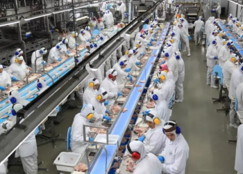 Indústria de alimentos