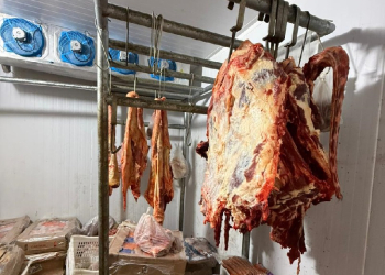 carne