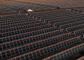 Petrobras consolida parceria estratégica com a Lightsource bp 8 usina solar