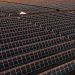 Petrobras consolida parceria estratégica com a Lightsource bp 8 usina solar