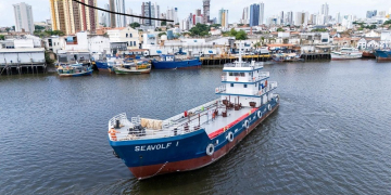 Alfamares Transportes