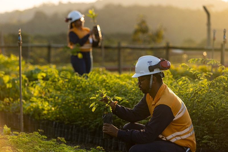 Mineração verde: Appian ultrapassa 388 hectares recuperados na Bahia 1 Atlantic Nickel