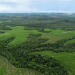 Bracell reduz emissões industriais em 47% e amplia uso de IA para monitorar biodiversidade 6 Bracell