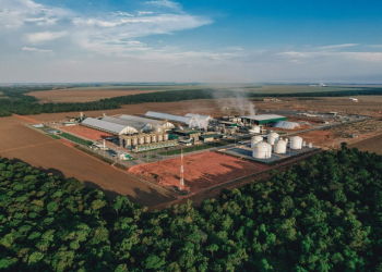 FS em Mato Grosso
