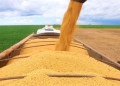 PIB do agronegócio baiano tem queda no 1º trimestre 10 Soja ascom Aiba