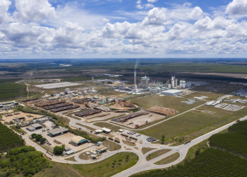 Veracel injeta R$ 409 milhões na economia local e amplia ações sustentáveis na Bahia