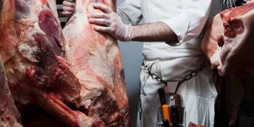 carne
