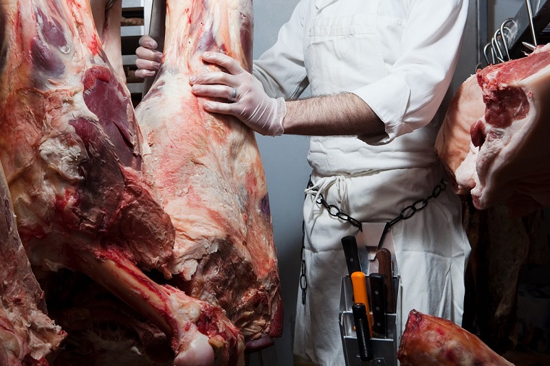 Nordeste surpreende e lidera alta das exportações de carne bovina no Brasil 1 carne