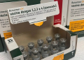 dengue