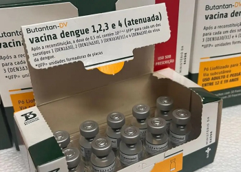 dengue