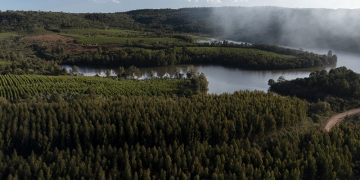 irani