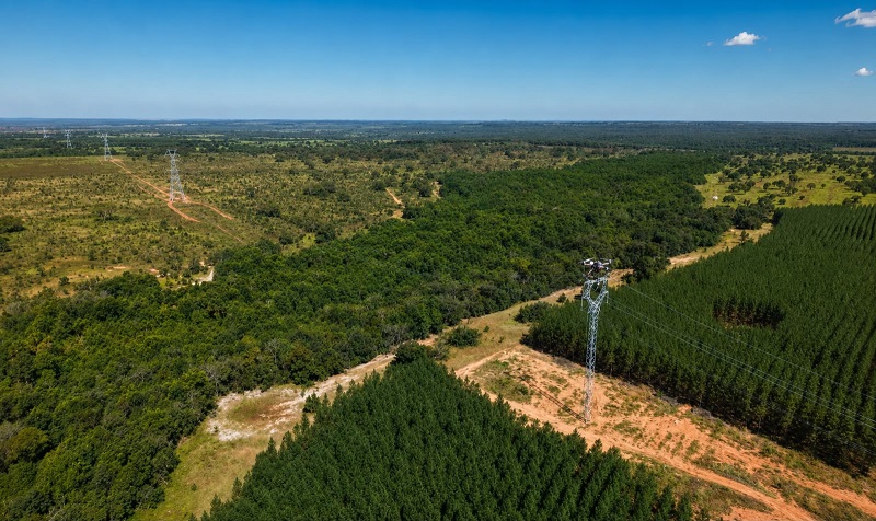 Arauco usa drones para preservar vegetação em obra de linha de transmissão 2 Arauco