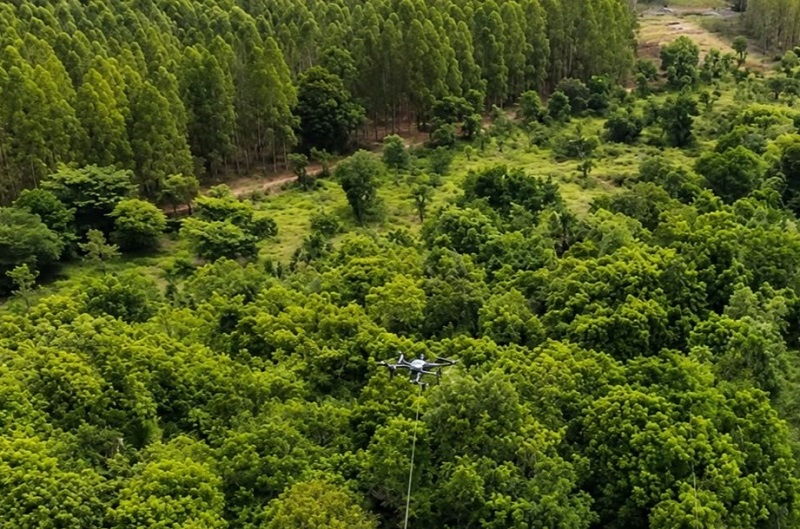 Arauco usa drones para preservar vegetação em obra de linha de transmissão 1 Arauco