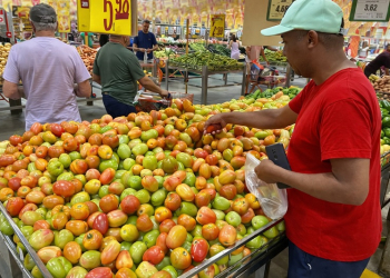 alimentos tomate