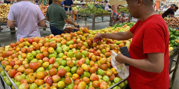 alimentos tomate