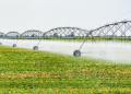 Irrigantes e aquicultores terão mais flexibilidade para acessar desconto na conta de energia 3 irrigação