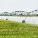Irrigantes e aquicultores terão mais flexibilidade para acessar desconto na conta de energia 7 irrigação