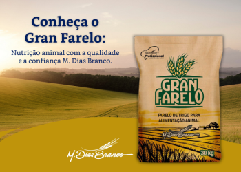 m dias branco