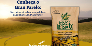 m dias branco