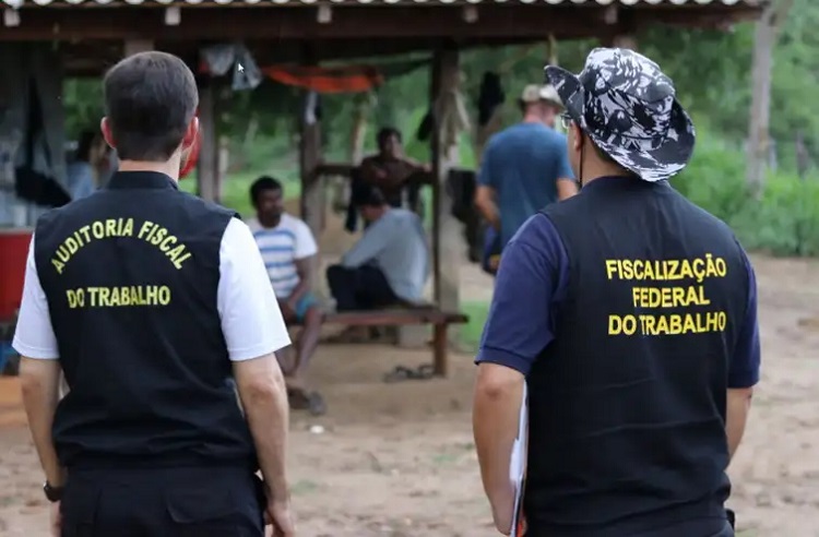 Brasil pode enfrentar tarifa de até 37,5% dos EUA em meio a disputa sobre trabalho forçado 1 trabalho escravo